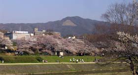 Kyoto, Mt. Daimonji and Sakura